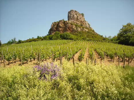 2009-05 Roche de Solutre Genevieve Guilpain, détail sortie