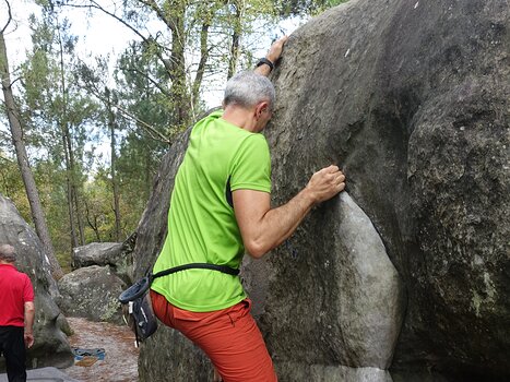 2014-10 Diplodocus Rémy A, détail sortie