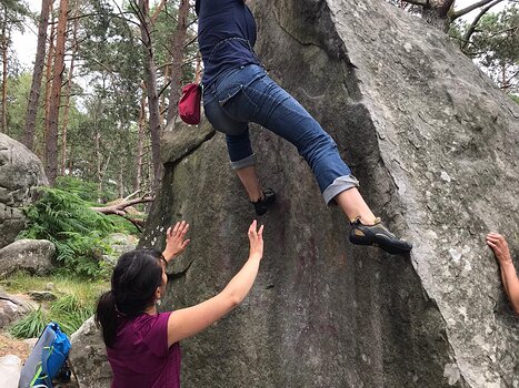 2020-06 Rocher Saint Germain Flore D, détail sortie