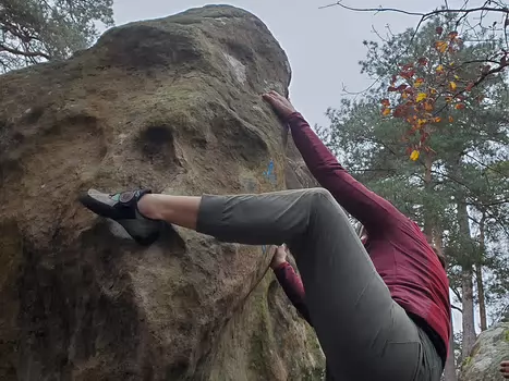 2024-11 Mont Ussy Solenne B, détail sortie