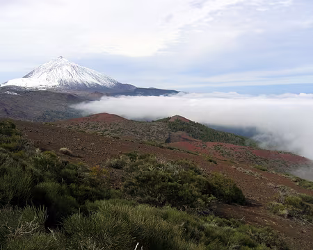 21 A 2200 m d'altitude, le décollage Nord du volcan est au pied du Teide (3800 m).