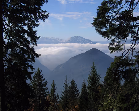 04 Vue sur le Vercors par une trouée dans les arbres.