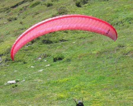 33 comme une Edelweiss.