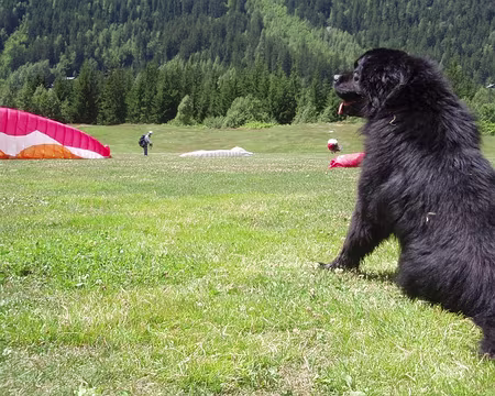 033 Jacky nous prouvera ses talents de sprinter dans la brise forcissante.