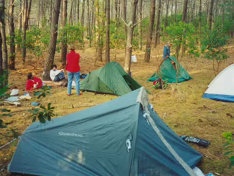 01-06 Bassin d Arcachon