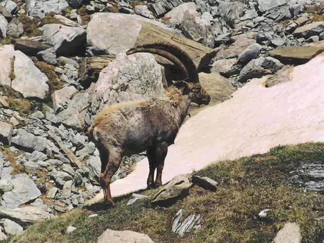 04-06 Tour de l Aiguille de la Vanoise