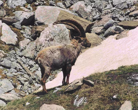 0007z392 On n'est pas tout seul !