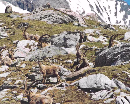 0009 Il y a foule aujourd'hui !