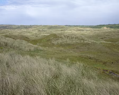 06 Dunes de Biville