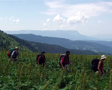 46 Aux environs du habert du Mousset