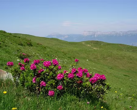 58 Col de Merdaret et Chartreuse au fond