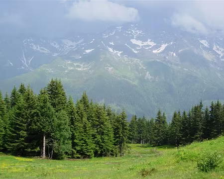 60 Belledonne vue du Crêt du Poulet