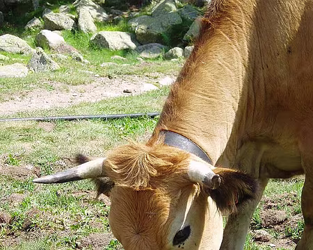 15 Elle a l'air si gentille.