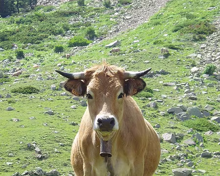 16 Déjà un peu moins gentille.