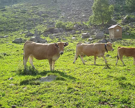 18 Au fond, les toilettes, qui ose encore traverser ?