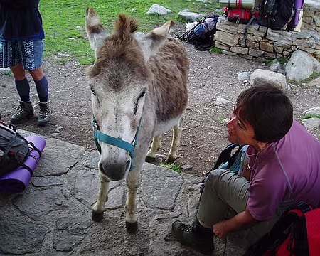 22 Lui seul me comprend.