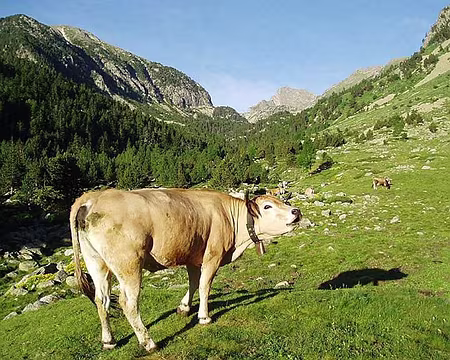 23 Toujours la même, le matin.
