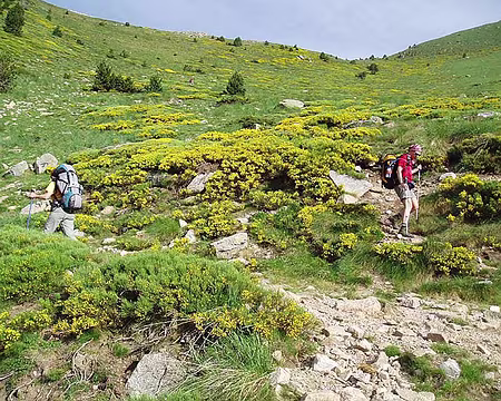 35 Mais çà part dans tous les sens !