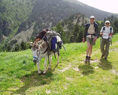 39z419 Maintenant on fait rando-âne au CAF.