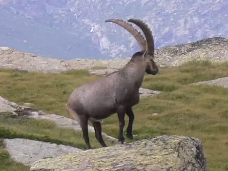 05-07 Du Carro aux Evettes