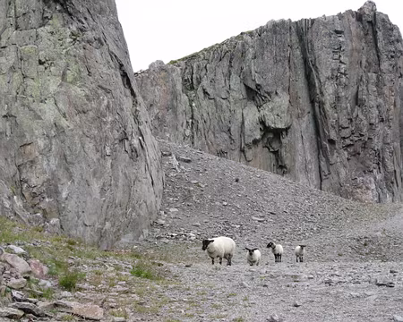 06 Quel comité d'accueil!