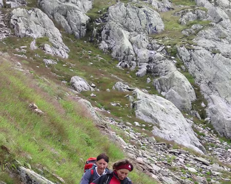 18 Vous pourriez me dire après quoi elles courent?