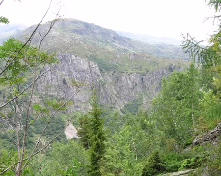 23 ... quelques arbres…