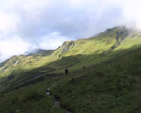 40 Si si! Adrien, c'est par là!