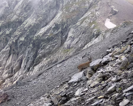 46 Un invité surprise!