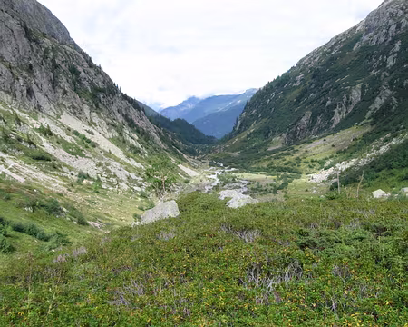 51 On a un train à prendre en bas, et vite, si on a envie de faire du shopping à Cham'!
