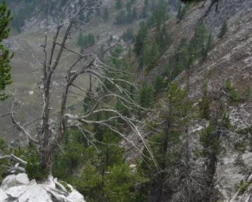 33 Cheminée Andreveysson