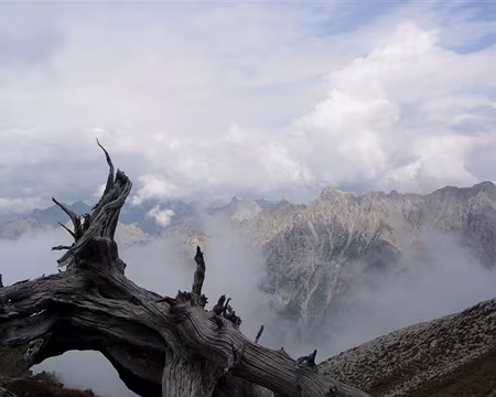 35 Cheminée Andreveysson