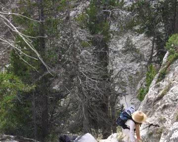 36 Cheminée Andreveysson