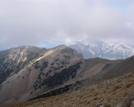 39 le Mont-Guillestre (2520m)