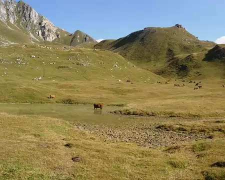 17 Sous le Col des Frêtes