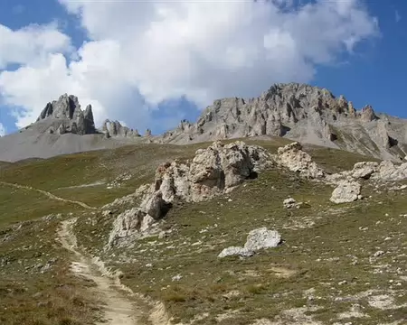 30