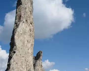 32