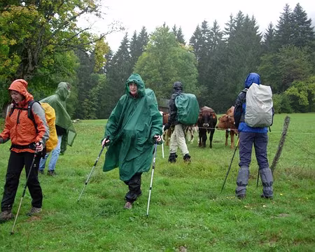 12 Si! Mais on ce qu'il faut: cake aux fruits, toblerones, amandes grillées, fondants au chocolat,...