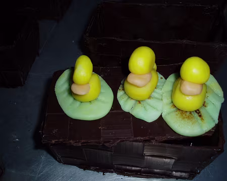 31 Les petits canards. Les plus mignons.