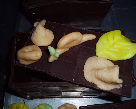 35 Le préhistorique.