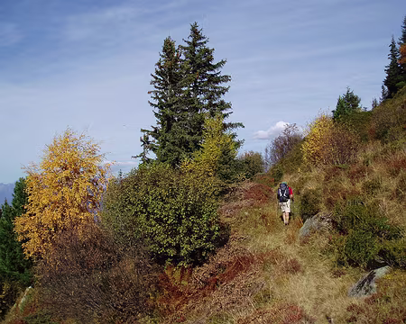 56 Entre le col de l'Arc et la montagne d'En Haut.