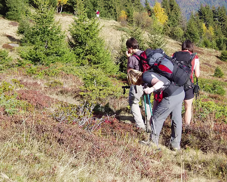 57 Et en plus ils s'arrêtent pour manger des myrtilles !