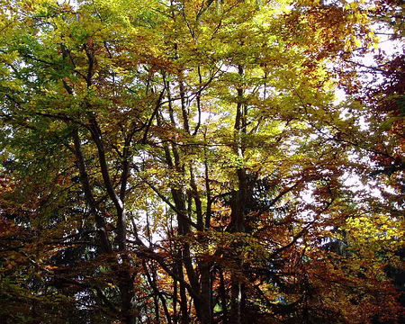 60a Terminé les photos, maintenant on trace pour avoir le train.