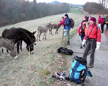 01 Démarrage matinal en douceur de La Combe