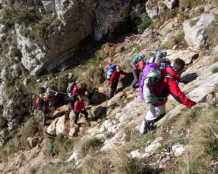 10z435 Comment ça ça ne ressemble pas à un sentier...