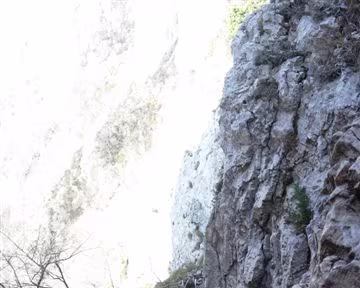 19 Pourquoi lui ai-je demandé de passer par les échelles, mieux fait de me taire