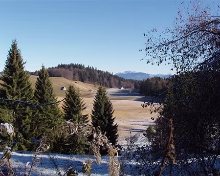 45 Puis une zone marécageuse