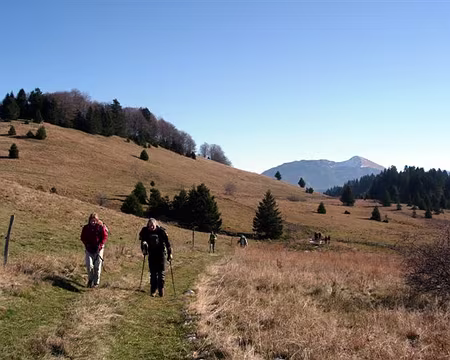 48 Du chalet de la Plate