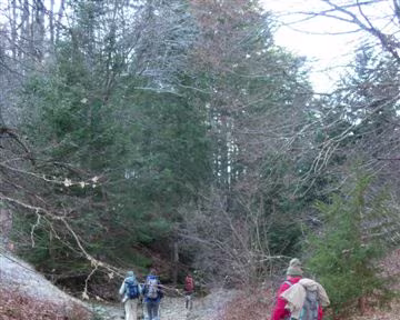 53 Puis par un cours d'eau