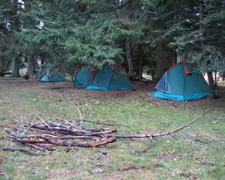 18 Clonage de tentes !